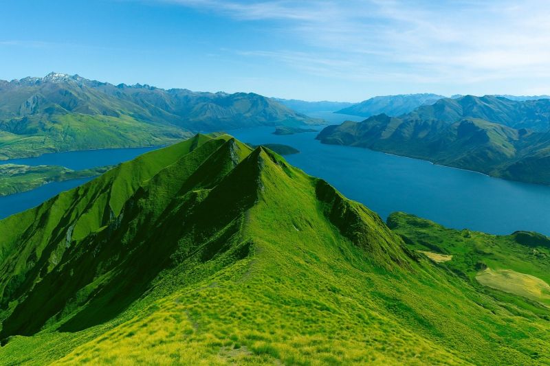 Landscape Construction Service