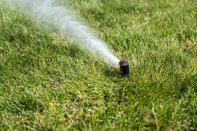 Lawn Sprinkler Blow-Out Equipment