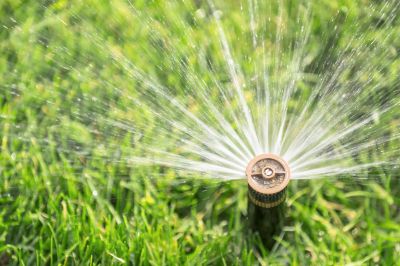 Spring Activation of Sprinkler System