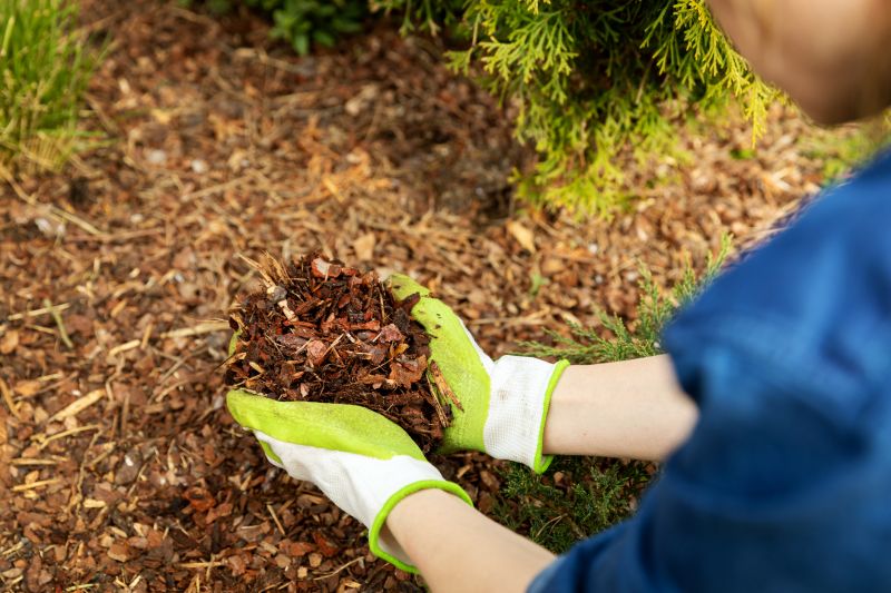 Pine Mulch Spreading