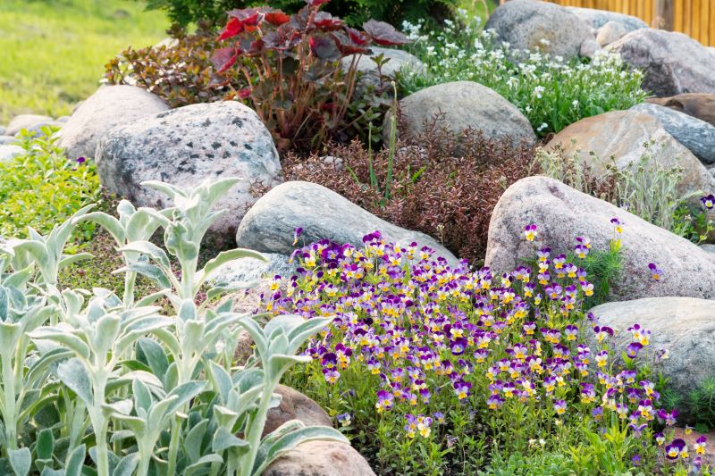Rock Landscape Design